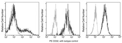 Sino Biological CD32/FCGR2/Fc gamma RII Antibody (PE), Mouse MAb, Quantity: