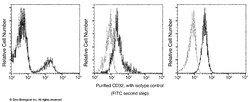 Sino Biological CD32/FCGR2/Fc gamma RII Antibody, Mouse MAb, Quantity: