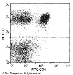 Sino Biological CD4 Antibody (FITC), Mouse MAb 25Tests, Quantity: Each