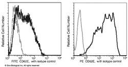 Sino Biological Recombinant Anti-E-Selectin/CD62E Antibody (PE), Rabbit
