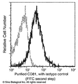 Sino Biological CD81 / TAPA-1 Antibody, Mouse MAb 100uL, Quantity: Each