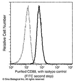 Sino Biological Anti-CD89/FCAR Antibody, Mouse Monoclonal, Quantity: Each
