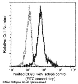 Sino Biological CD93 / C1qR Antibody, Mouse MAb 100uL, Quantity: Each of
