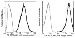 Sino Biological CEACAM1 / CD66a Antibody (APC), Rabbit MAb 25Tests, Quantity: