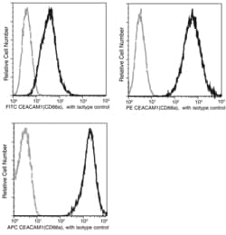 Sino Biological CEACAM1 / CD66a Antibody (APC), Mouse MAb 100Tests, Quantity: