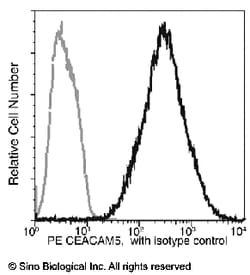 Sino Biological CEACAM5 / CD66e Antibody (PE), Mouse MAb 100Tests, Quantity: