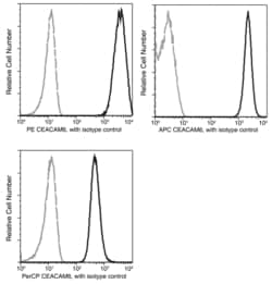 Sino Biological CEACAM6 / CD66c Antibody (PE), Rabbit MAb 25Tests, Quantity:
