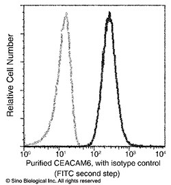 Sino Biological CEACAM6 / CD66c Antibody, Rabbit MAb 100uL, Quantity: Each