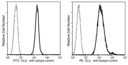 Sino Biological Clusterin / Apolipoprotein J / Apo-J Antibody (PE), Mouse