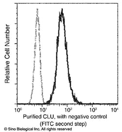 Sino Biological Clusterin / Apolipoprotein J / Apo-J / CLU Antibody, Mouse
