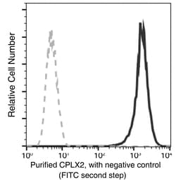 Sino Biological Complexin-2 / CPLX2 Antibody, Rabbit MAb 100µL, Quantity: