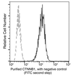 Sino Biological beta-Catenin / CTNNB1 Antibody, Rabbit MAb 100µL, Quantity: