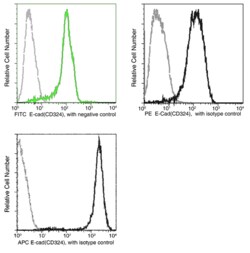 Sino Biological E-Cadherin / CDH1 / E-cad / CD324 Antibody (FITC), Mouse