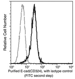 Sino Biological Anti-E-Cadherin Antibody, Mouse Monoclonal, Quantity: Each