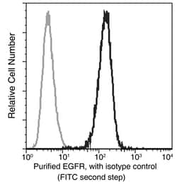 Sino Biological EGFR / HER1 / ErbB1 Antibody, Mouse MAb 100µL, Quantity: