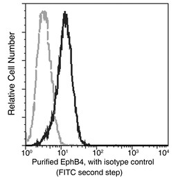Sino Biological Anti-EphB4 Antibody, Mouse Monoclonal, Quantity: Each of