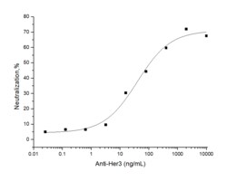 Sino Biological HER3 / ErbB3 Neutralizing Antibody 500ug, Quantity: Each