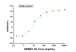 Sino Biological HER3 / ErbB3 Neutralizing Antibody, Quantity: Each of 1