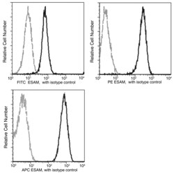Sino Biological Recombinant Anti-ESAM Antibody (APC), Rabbit Monoclonal,