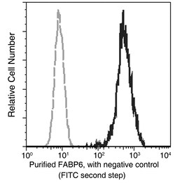 Sino Biological FABP6 / ILBP / I-BABP Antibody, Rabbit MAb 100µL, Quantity: