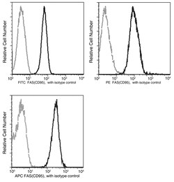 Sino Biological FAS / CD95 / APO-1 / TNFRSF6 Antibody (PE), Mouse MAb 100Tests,