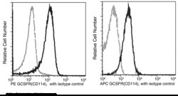 Sino Biological Anti-CSF3R/G-CSFR Antibody (APC), Mouse Monoclonal, Quantity: