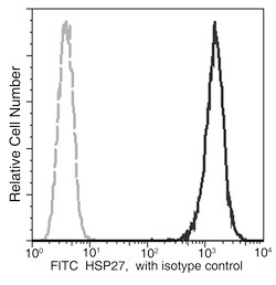 Sino Biological Recombinant Anti-Hsp27/HSPB1 Antibody (FITC), Rabbit Monoclonal,