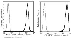 Sino Biological Recombinant Anti-Hsp27/HSPB1 Antibody (PE), Rabbit Monoclonal,