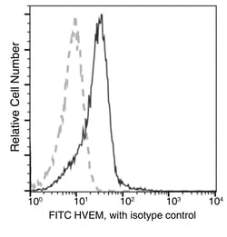 Sino Biological Recombinant Anti-HVEM Antibody (FITC), Rabbit Monoclonal,