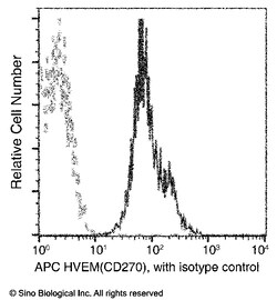 Sino Biological Recombinant Anti-HVEM Antibody (APC), Rabbit Monoclonal,