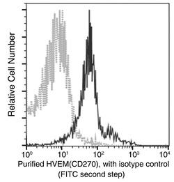 Sino Biological Recombinant Anti-HVEM Antibody, Rabbit Monoclonal, Quantity: