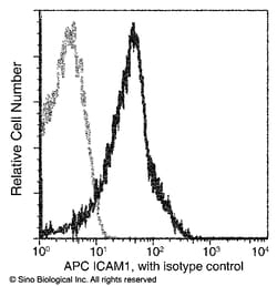 Sino Biological Anti-ICAM-1/CD54 Antibody (APC), Mouse Monoclonal, Quantity: