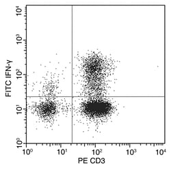 Sino Biological IFN gamma / IFNG Antibody (FITC), Rabbit MAb 100Tests,