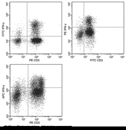 Sino Biological IFN gamma / IFNG Antibody (PE), Rabbit MAb 100Tests, Quantity: