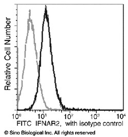 Sino Biological Anti-Interferon alpha/beta receptor 2 Antibody (FITC),
