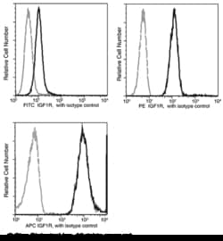 Sino Biological Recombinant Anti-IGF1R Antibody (PE), Rabbit Monoclonal,