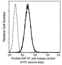 Sino Biological Recombinant Anti-IGF1R Antibody, Rabbit Monoclonal, Quantity: