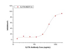 Sino Biological IL17 / IL17a Neutralizing Antibody 200ug, Quantity: Each
