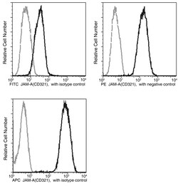 Sino Biological JAM-A / F11R Antibody (PE), Mouse MAb 25Tests, Quantity: