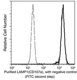Sino Biological LAMP1 / CD107a Antibody, Rabbit MAb 100µL, Quantity: Each