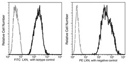 Sino Biological Anti-Latexin Antibody (PE), Mouse Monoclonal, Quantity:
