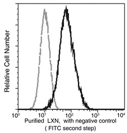 Sino Biological Latexin / Lxn Antibody, Mouse MAb 100uL, Quantity: Each
