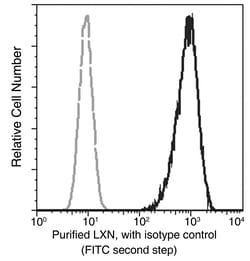 Sino Biological Recombinant Anti-Latexin Antibody, Rabbit Monoclonal, Quantity: