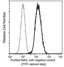 Sino Biological MAX / MYC associated factor X Antibody, Rabbit MAb 100µL,