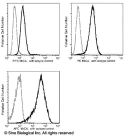 Sino Biological MICA Antibody (PE), Mouse MAb 100Tests, Quantity: Each