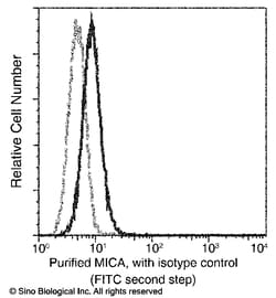 Sino Biological MICA Antibody, Mouse MAb 100uL, Quantity: Each of 1