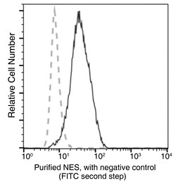 Sino Biological Nestin / NES Antibody, Mouse MAb 100uL, Quantity: Each