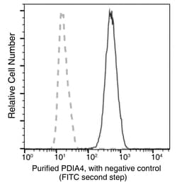 Sino Biological ERP72 / PDIA4 Antibody, Rabbit MAb 100µL, Quantity: Each