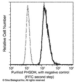 Sino Biological PGDH / PHGDH Antibody, Mouse MAb 100uL, Quantity: Each