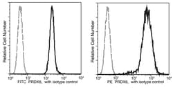 Sino Biological Peroxiredoxin 6 / PRDX6 Antibody (PE), Mouse MAb 25Tests,